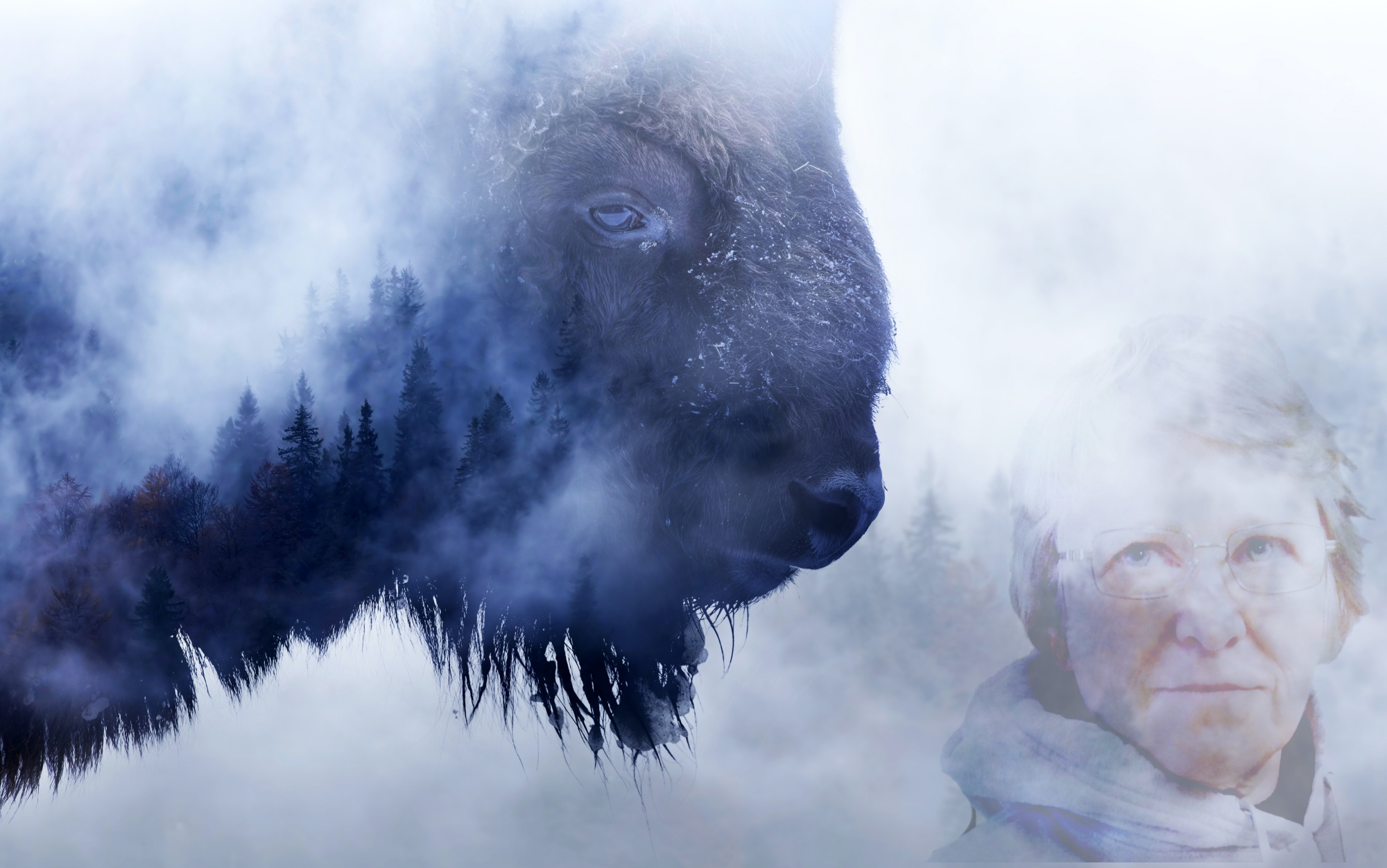 The American States Assembly The American States Assemblies